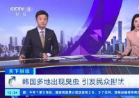 臭虫入侵韩国多地 引发了民众不安