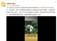 大熊猫“奂彩”离世 排除误食异物与食物中毒可能