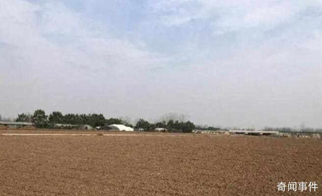 捡花生身亡老人家属回应恶评 人家花生已经收完不要了那不是抢