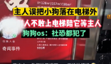 小狗被落电梯外一群邻居陪着等 网友赞叹：什么神仙邻居