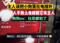 小狗被落电梯外一群邻居陪着等 网友赞叹：什么神仙邻居
