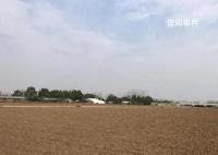 被卷入旋耕机老太生前为人和善