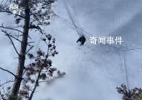 国家级保护区山上遍布捕鸟网 当地将专项整治