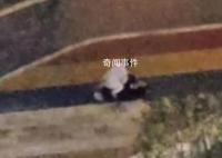 女子深夜疑遭家暴?救人者发声