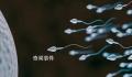 科学家:精子运动违背牛顿第三定律