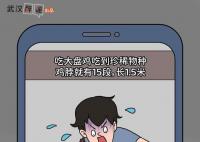 大盘鸡吃出15根鸡脖系摆拍 目前造谣者已被公安机关依法依规处理
