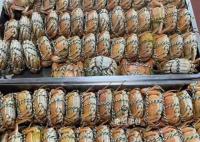 杭州一中学午餐上了1000只大闸蟹 学校这伙食太让人羡慕了