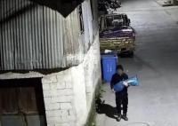 男子偷菜游戏上瘾多次盗窃蔬菜