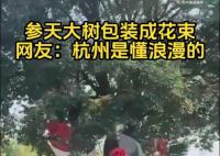 杭州参天大树被包装成巨型花束 不少市民都拿出手机拍照记录