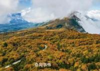 峨眉山招聘猴群管理员 用工性质为合同聘用