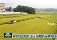 各地确保秋粮颗粒归仓 秋冬种也有序展开