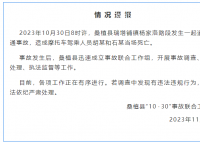 疑交警追车致2死 官方成立工作组 将依法依纪严肃处理