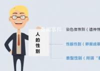 夫妻同床5年 发现丈夫染色体是女性