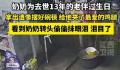 奶奶给去世13年老伴过生日 忍不住落下了眼泪