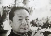 作家周涛突发心梗去世 周涛个人资料简介