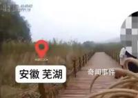 大妈为自拍不慎踩空掉进芦苇荡 经过紧急救援这位大妈平安脱险