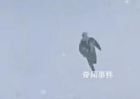 南方穿短袖东北下雪了 一边艳阳高照一边大雪纷飞