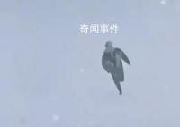 南方室友第一次见东北大雪激动撒欢