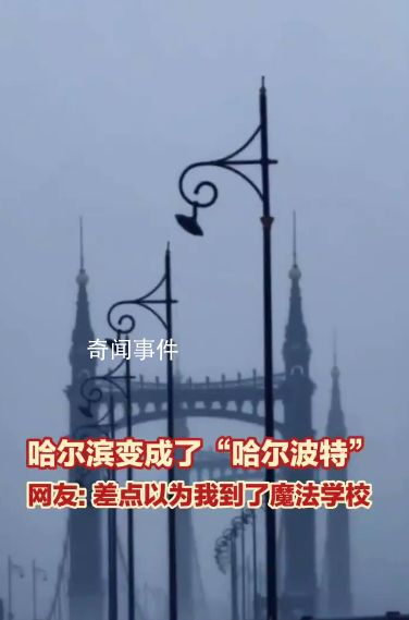哈尔滨变成了“哈尔波特”
