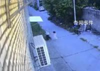 女童遭未满12周岁男孩杀害?警方回应