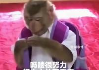 “吗喽”占领了年轻人的生活圈