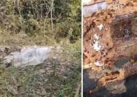 两男子偷价值4600余元胡蜂蜂巢被拘