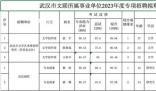 班宇等多名作家考取武汉文联编制