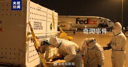 美香一家刚回国就被排队投喂 祝福美香一家