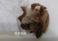 怀化一小学食堂吃出鼠头?官方介入
