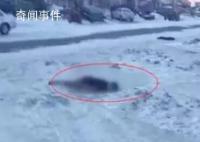 黑龙江男子雪天冻死街头 官方通报