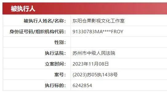 许晴独资工作室被执行624万