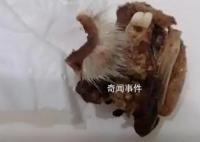 重庆一小学食堂出现鼠头系谣言 结果将及时向社会公布