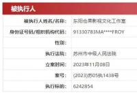 许晴独资工作室被执行624万