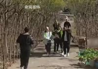 官方调查强砍3万多棵国槐树事件 引发网友热议