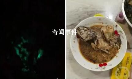 大妈买海鱼红烧后半夜发绿光 背后真相令人震惊