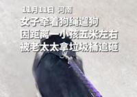 女子遛狗吓哭小孩被老太追砸 女子被吓得边哭边跑