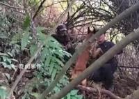 老人深山走失30小时被警犬找到