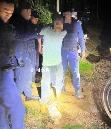 男子杀人逃深山 养8只恶犬防身