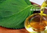 调和油不如动物油?这些误区你中了几个