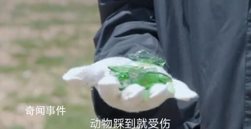 胡歌刘涛争论用完的手纸是否带走