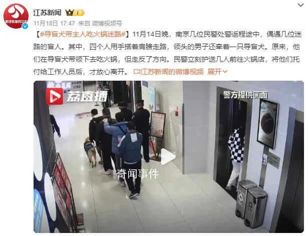 导盲犬带主人吃火锅迷路 走反了方向