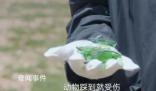 胡歌刘涛争论用完的手纸是否带走