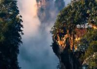 遍地都是韩国人 张家界有被“孝”到