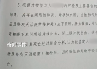 男婴打疫苗后离世 尸检报告已出