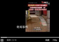 广州一连锁肠粉店被曝老鼠横行