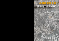 5岁男孩发现5亿年前古生物化石 这也引发了网友的热议