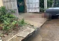 男子上班睡觉怀疑同事告密将其杀害 背后真相令人震惊
