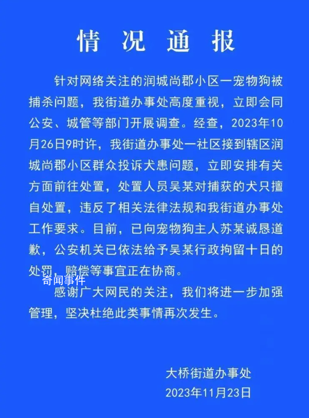 宠物犬被抓走宰杀 处置人员被行拘