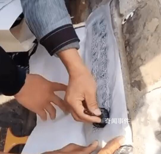 两男子拍打拓印南京古城墙字迹 引发网友质疑
