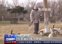 辽宁盘锦40多只猫咪组队守粮仓 呵护猫咪本性生态灭鼠